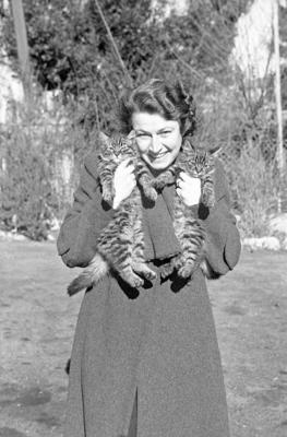 Tre gatti con automobile, ragazza e signora
