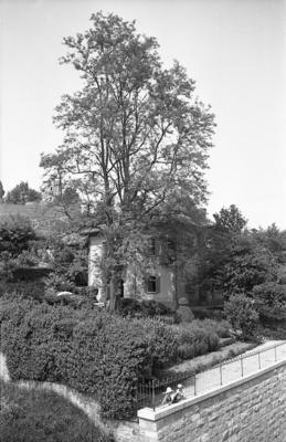 Villa in Via Clemente Maraini a Lugano e autoritratto di Vincenzo Vicari