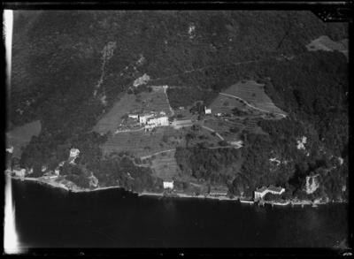 Caprino