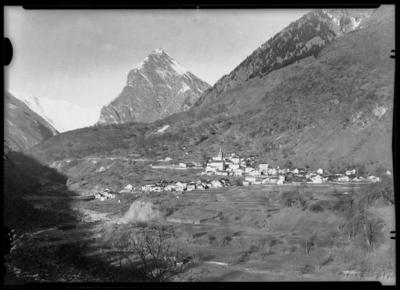 Aquila