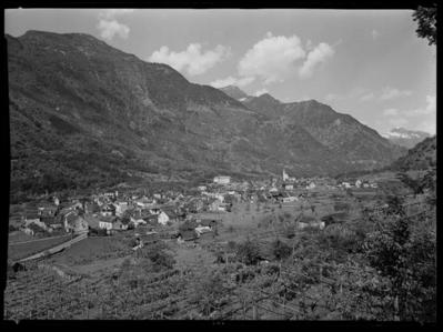 Maggia