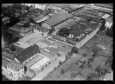 Stabilimento degli orticoltori e fioristi Bachmann e De Cecchi a Viganello