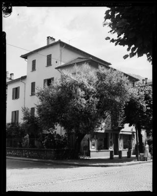 Ulivo davanti alla casa Vicari in Viale Carlo Cattaneo a Lugano