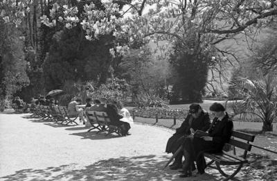 Panchine e fiori al Parco Ciani di Lugano