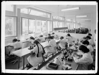 Fabbrica di pietre fini per l'orologeria e l'industria R. Audemars Fils a Lugano