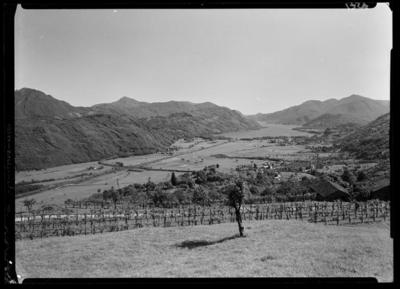 Veduta sulla Valle del Vedeggio da Bosco Luganese