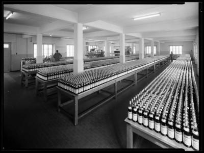 Interno della fabbrica Campari a Viganello