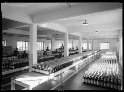 Interno della fabbrica Campari a Viganello
