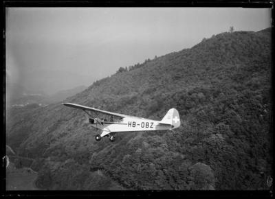 Peiper in volo