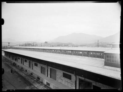Tetto in eternit della stazione di Chiasso
