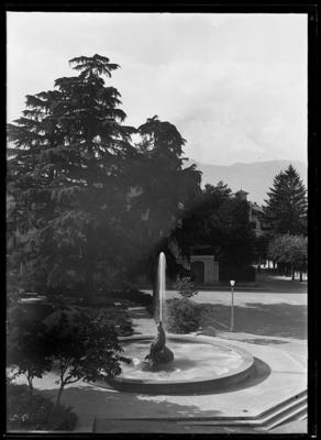 Fontana della foca in Piazza del Governo a Bellinzona