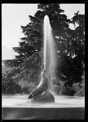 Fontana della foca in Piazza del Governo a Bellinzona