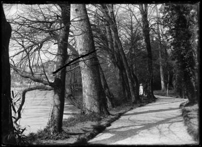 Parco Ciani a Lugano