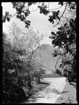 Parco Ciani a Lugano