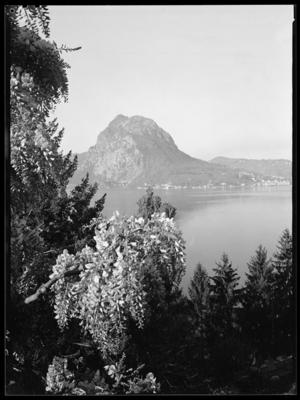 Monte San Salvatore dal Monte Brè