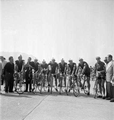 Campionati del mondo di ciclismo su strada